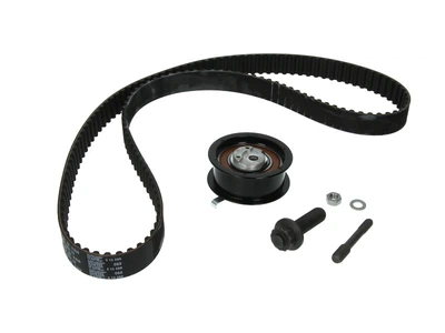 INA 530 0164 10 Комплект ГРМ VW T4 1.9D/TD (137x25.40)