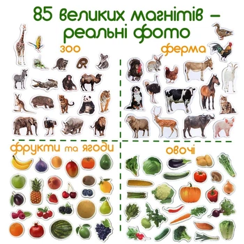Набор магниты детские Magdum, 85 элементов, животные, фрукты, в коробке ML4031-61 EN