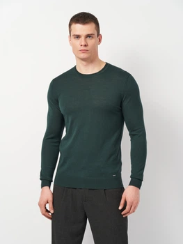 Джемпер чоловічий Mexx MF006601443M-190509 S Зелений (8720716245282)