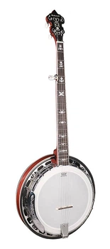 Банджо блюграс Richwood RMB-905-A