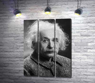 Модульная картина Портрет гениального физика Альберта Эйнштейна (Albert Einstein) 60x80 см Модуль №2 (003371)