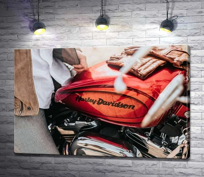 Картина Яркая эмблема на мотоцикле Harley-Davidson вблизи 60x40 см Модуль №1 (003947)