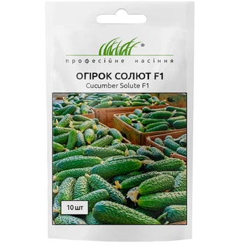 Огурец Солют (Абсолют) F1 / 10 шт