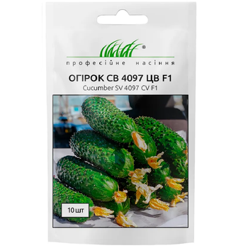Огурец СВ 4097 ЦВ F1 / 10 шт