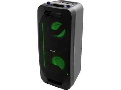 Акустична система Toshiba TY-ASC66