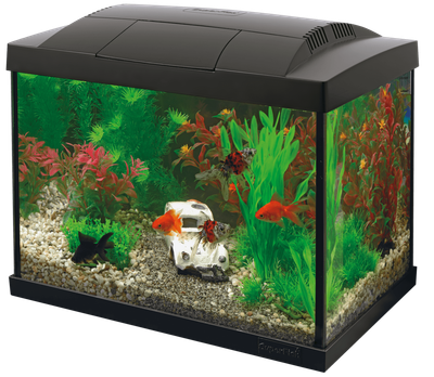Акваріумний стартовий набір SuperFish Start 20 Aquarium Kit Black (A4050267)