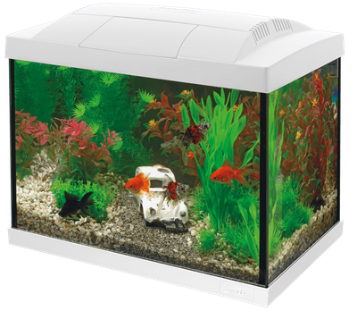 Акваріумний стартовий набір SuperFish Start 20 Aquarium Kit White (A4050269)
