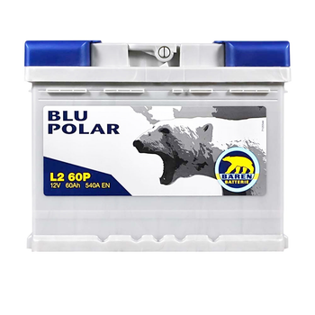 Автомобільний акумулятор BAREN Blu polar 60Аh 540А R+ 7905620