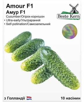 Насіння огірка Амур F1, Beste Kern, 10 шт