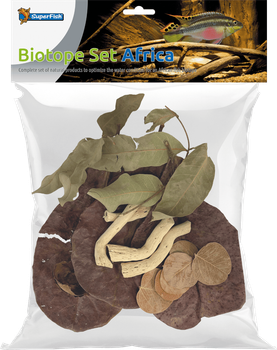 Листя катаппи BIOTOPE SET AFRICA (A4080450)