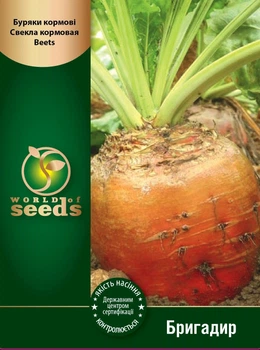 Семена свеклы кормовой "Бригадир", 100 г (Holland Seeds).