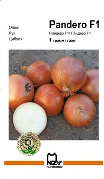 Лук Пандеро F1 1г А.