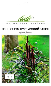 Насіння Пеннісетум Пурпурний барон (просо декоративне), 0,1 г (W.Legutko)
