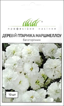 Семена Тысячелистник Маршмеллоу, птармика, 10 шт (Benary)
