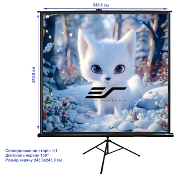 Проекционный экран ELITE SCREENS T136UWS1 мобильный тренога 136" 243.8x243.8см 1:1