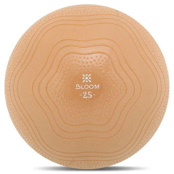 Мяч для пилатеса и йоги BLOOM MINI PILATES BALLl LB7001-25 (PVC, d-25см, насос, коричневый)
