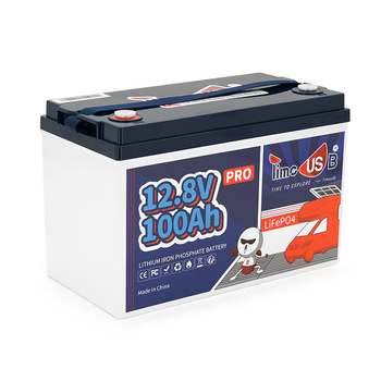 Аккумуляторная батарея LiFePO4 Timeusb 12V 100Ah Pro, 1280Wh, BMS 100A, 330*172*216мм
