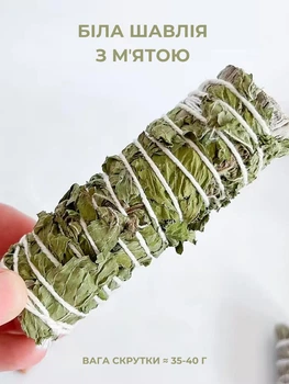 Органический калифорнийский белый шалфей + мята White Sage 10 см