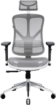 Крісло офісне ергономічне Diablo Chairs V-Basic White-Grey (5902560334579)