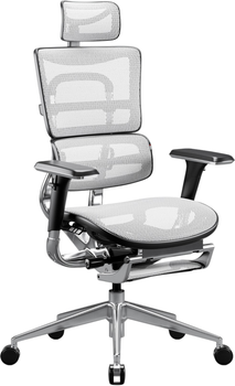 Крісло офісне ергономічне Diablo Chairs V-Master Black-White (5904405577172)