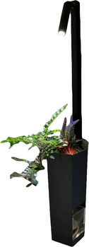 Бра Brille BL-985W/5W BK/GY LED (29-434)