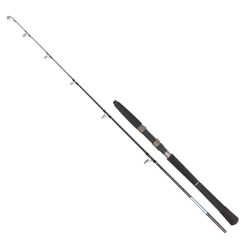 Вудилище морське GC Rocky Catfish 1.65м 20lb