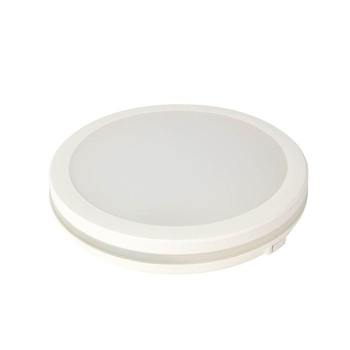 Светодиодный светильник Scarlett-30 3ССТ 30W 6400К белый Horoz Electric