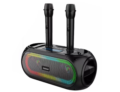 Портативная музыкальная акустика ZZX ZQS4247 (2MIC+MP3+USB+FM+BT)
