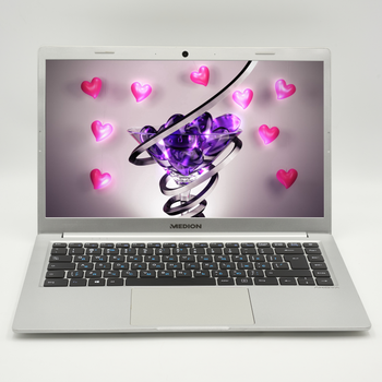 Ноутбук 14" Medion (Lenovo Group) AKOYA E4251 Intel Pentium N5000 RAM 4 ГБ SSD 256 ГБ + 64 ГБ eMMC б/в Win10 (3019)