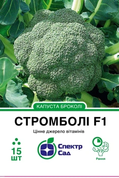 Капуста брокколи Стромболи F1 Hazera 15 шт