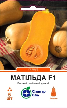 Тыква столовая Матильда F1 5 шт