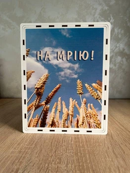 Скарбничка для грошей На мрію 365 днів (№11)