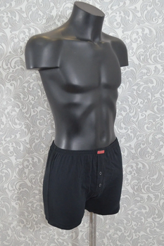 Мужские однотонные семейные трусы Lans 01/004 XL