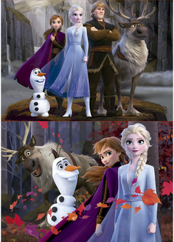 Набір пазлів Educa Borras Disney Frozen 40 x 28 см 2 x 100 деталей (8412668181113)