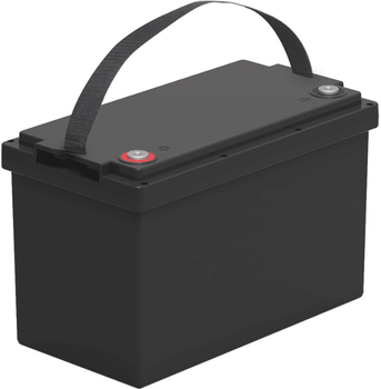 Акумуляторна батарея PowerPlant LiFePO4 12.8V 100Ah (NV822430)