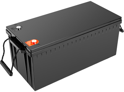 Аккумуляторная батарея PowerPlant LiFePO4 24V 100Ah (NV822447)