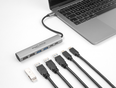 USB Hub Delock 6 Port USB Hub with 4 x USB Type-A female and 2 x USB Type-C female Silver (4043619642328)