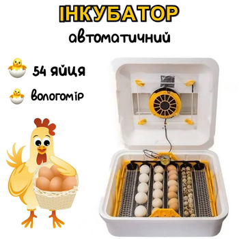 Інкубатор автоматичний Теплуша 88 ТАВ 220/50 на 54 яйця