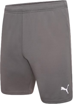 Шорты Puma teamRISE Short (704942-13) Мужчины M Серые (4063699212051)