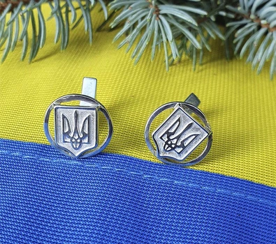 Запонки с гербом Maxi Silver 4252
