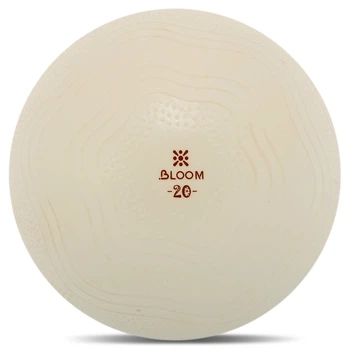 Мяч для пилатеса и йоги с насосом Bloom Mini Pilates Ball 7001-20 диаметр 20см White