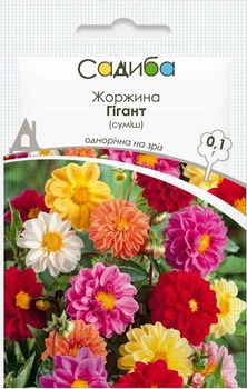 Семена георгины Гигант смесь 0,1 г, Hем Zaden
