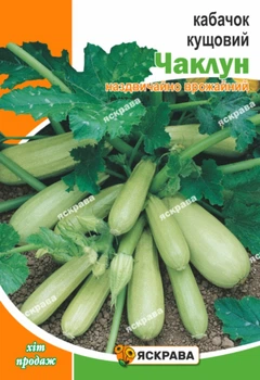 Насіння Яскрава Кабачок кущовий Чаклун 10 г (61021)