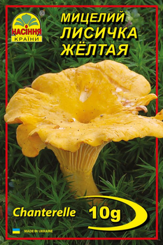Мицелий (зерновой) Лисичка жёлтая, 10 г (Насіння країни)