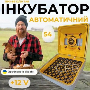 Автоматичний інкубатор для курячих яєць Теплуша ПРО-88 12/50 ТАВ ТЕНовий з живленням 2в1 12В від акумулятора та 220В з вбудованим вологоміром