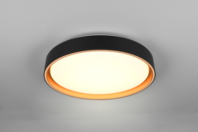 Стельовий світильник REALITY FELIS LED 24W 2500lm 2700 - 6500K (R64391080)
