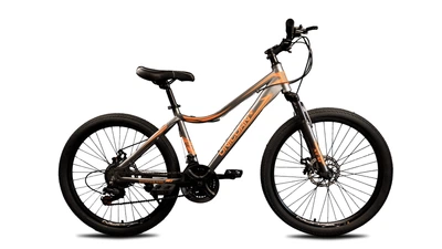 Велосипед швидкісний підлітковий unicorn smart rider 24 дюйми сірий