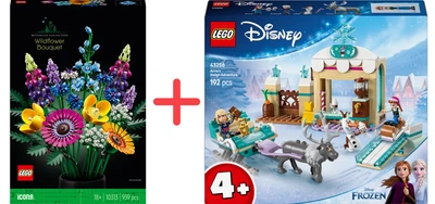 Набор конструкторов LEGO Botanicals Букет полевых цветов 939 деталей + Disney Приключения Анны на санях 192 детали (10313_43256)