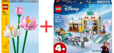 Набор конструкторов LEGO Botanicals Цветы лотоса 220 деталей + Disney Приключения Анны на санях 192 детали (40647_43256)
