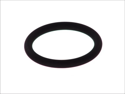 ELRING 570.120 Кільце ущільнювача (52x66x7)